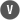 icon V 1
